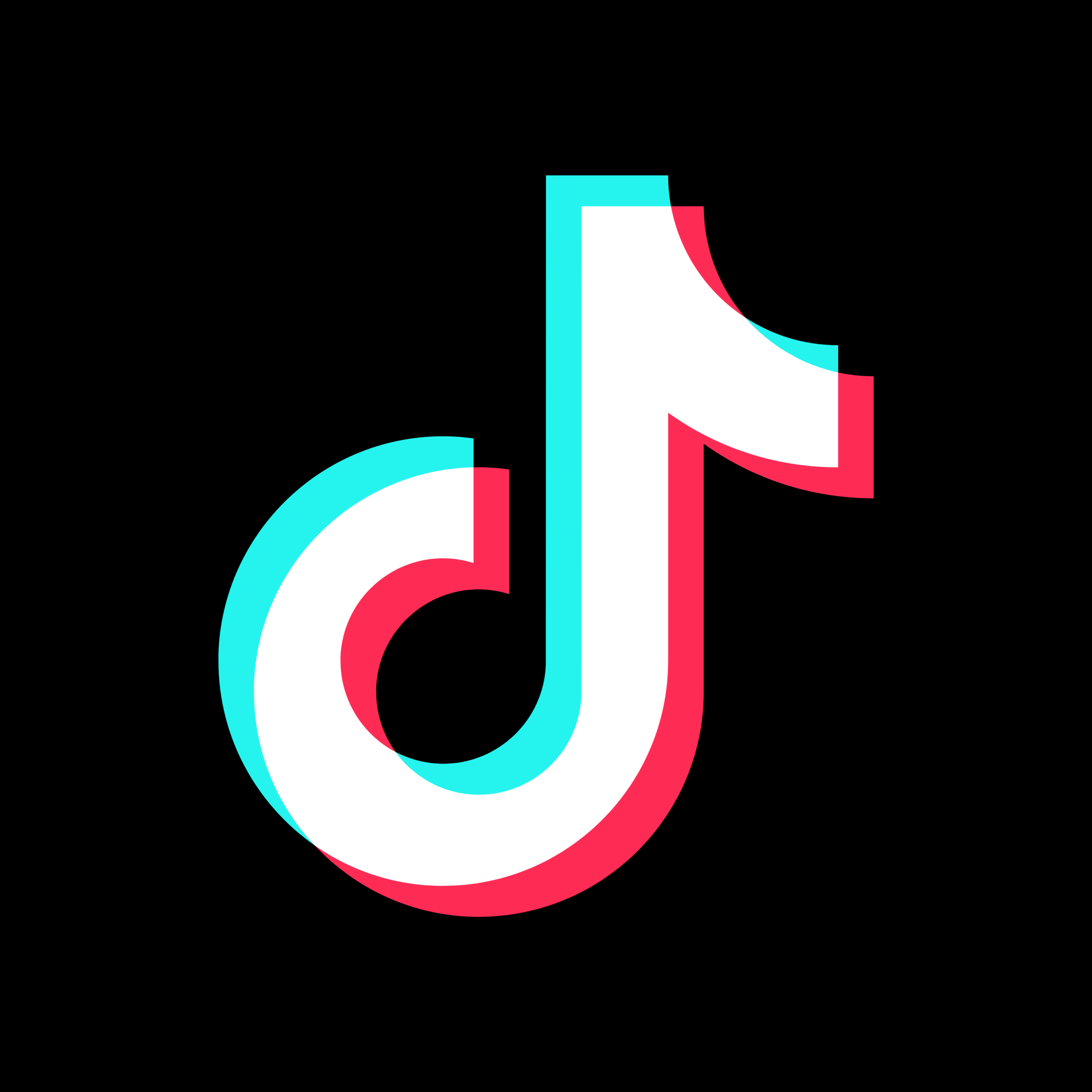 LOGO TIKTOK